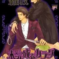  ����� Mikansei na Karada <small>Story & Art</small> 